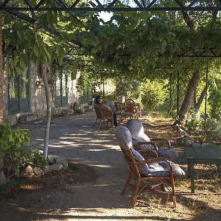 Bed & Breakfast Faralya Botanica *